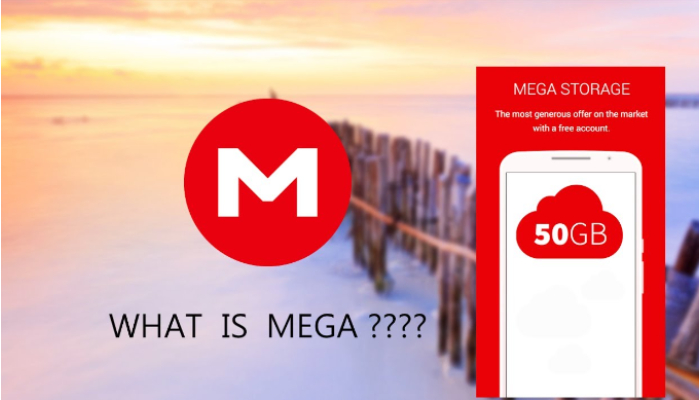 what is mega